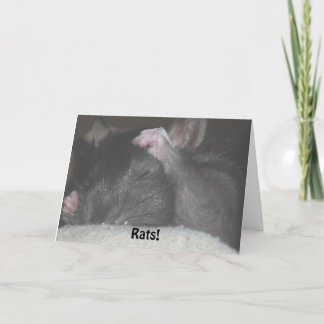 De late Kaart van de Verjaardag