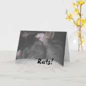 De late Kaart van de Verjaardag (Gele Bloem)