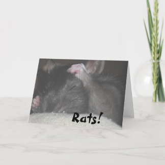 De late Kaart van de Verjaardag