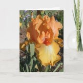 De late Kaart van de Verjaardag - Geheugen (Voorkant)