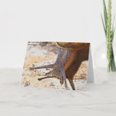 De late verjaardag van de slak post kaart (Achterkant)