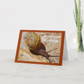 De late verjaardag van de slak post kaart (Voorkant)