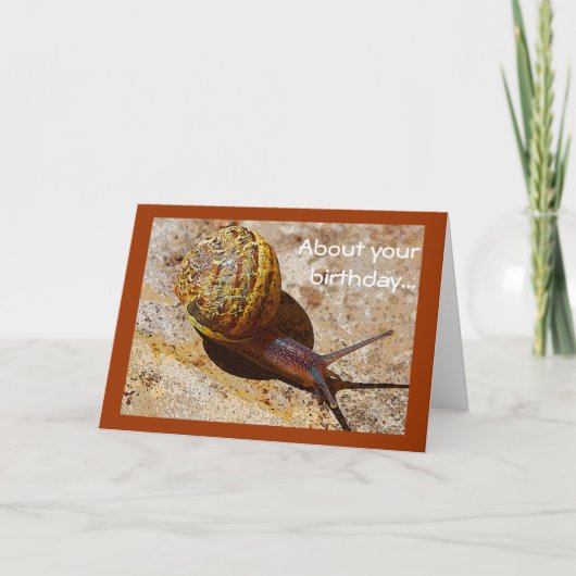 De late verjaardag van de slak post kaart (Voorkant)
