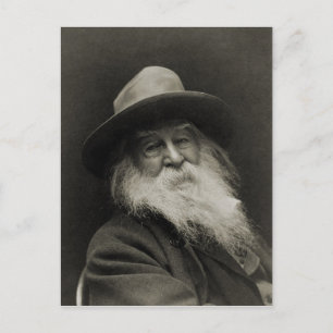De Laughing Philosopher Poet Walt Whitman Briefkaart
