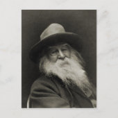 De Laughing Philosopher Poet Walt Whitman Briefkaart (Voorkant)