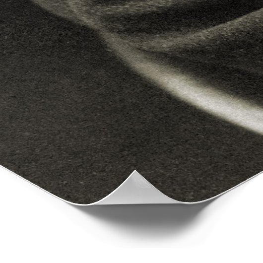 De Laughing Philosopher Poet Walt Whitman Poster (Hoek)