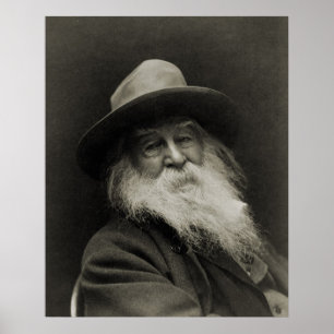 De Laughing Philosopher Poet Walt Whitman Poster