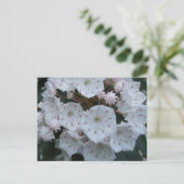 De Laurier van de berg komt Briefkaart tot bloei (Staand voorkant)