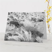 De Lava van het basalt schommelt de Zwart-witte Kaart (Gele Bloem)