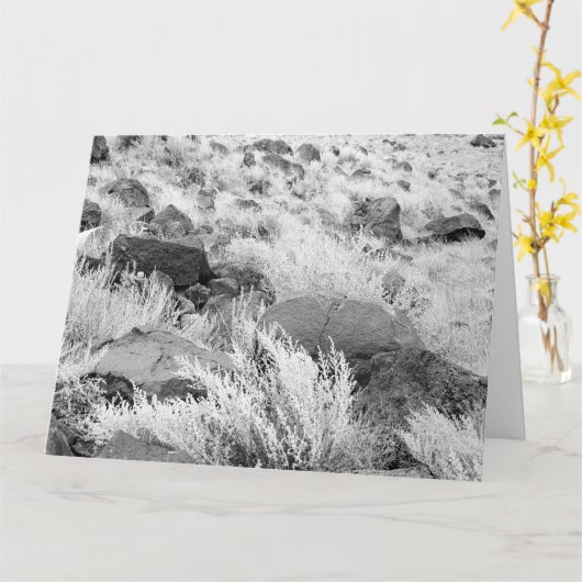 De Lava van het basalt schommelt de Zwart-witte Kaart (Gele Bloem)