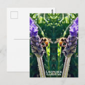 De Lavendel & De Bij Briefkaart (Voorkant / Achterkant)