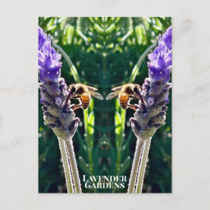 De Lavendel & De Bij Briefkaart
