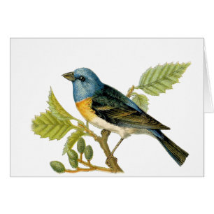 De Lazuli Bunting Bird bedankt je kaart