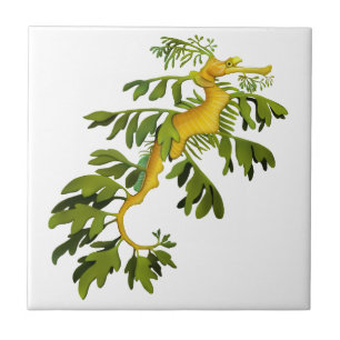 De Leafy Zee Dragon Art Tile Tegeltje