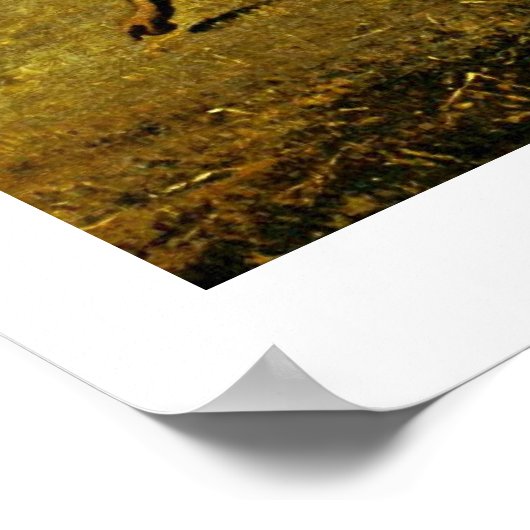 De leaners van Millet (II) Jean-Francois Poster (Hoek)