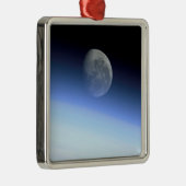 De ledemaat van de aarde metalen ornament (Rechts)