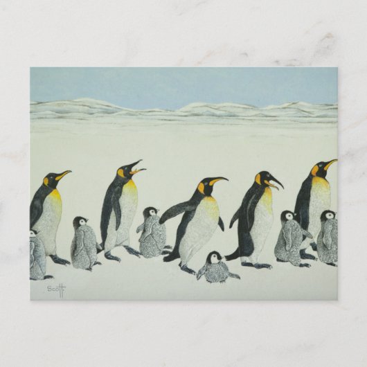 De leercurve briefkaart (Voorkant)