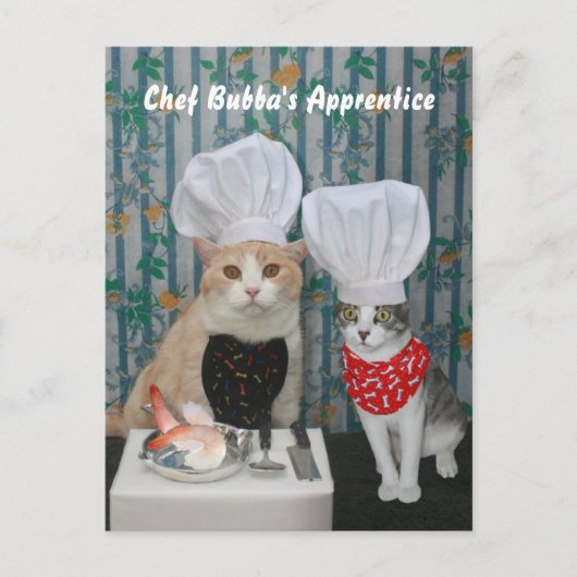 De Leerling van Bubba van de chef-kok Briefkaart (Voorkant)
