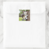De leeuw achter de Sticker (Tas)