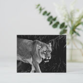 De leeuw briefkaart (Staand voorkant)