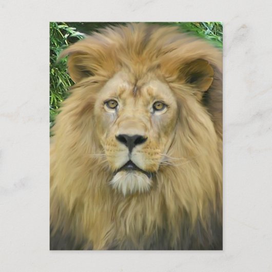 De leeuw briefkaart (Voorkant)