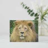 De leeuw briefkaart (Staand voorkant)