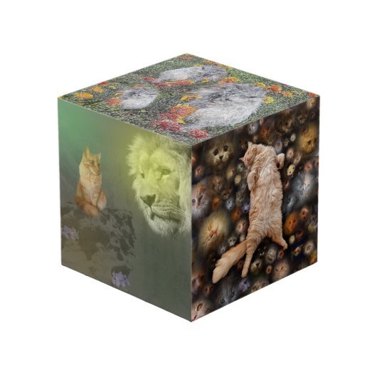 De Leeuw En De Kat, Plus Vrienden, Foto Kubus (Voorkant hoekig)