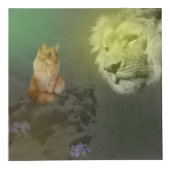 De Leeuw En De Kat, Plus Vrienden, Foto Kubus (Voorkant)