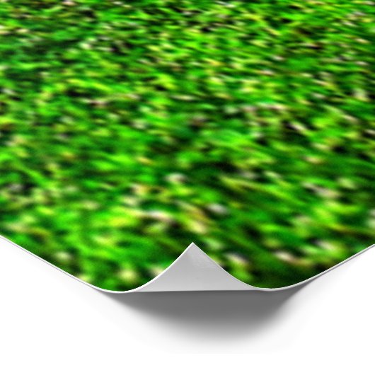 de leeuw en de lammeren poster (Hoek)