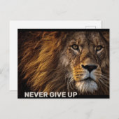 De leeuw - geef nooit op briefkaart (Voorkant / Achterkant)