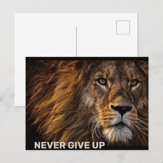 De leeuw - geef nooit op briefkaart (Voorkant / Achterkant)