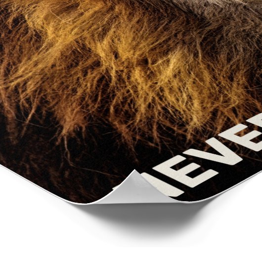 De leeuw - geef nooit op poster (Hoek)