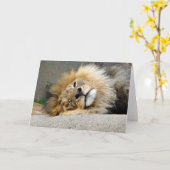 De leeuw knipoogt Wenskaart Kaart (Gele Bloem)