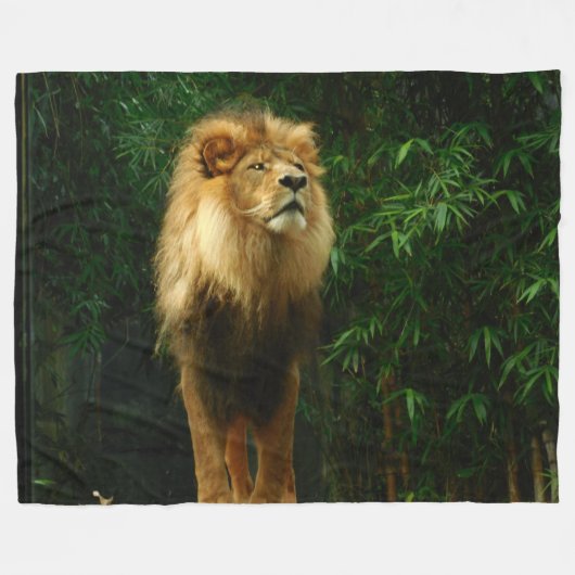 De leeuw, koning van het OERWOUD Fleece Deken (Voorkant (Horizontaal))