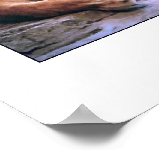 "De leeuw" Poster (Hoek)