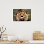 De Leeuw Poster (Keuken)