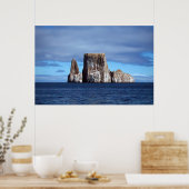 De leeuw poster (Keuken)