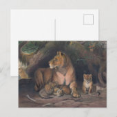 De leeuw van Joseph Wolf Briefkaart (Voorkant / Achterkant)