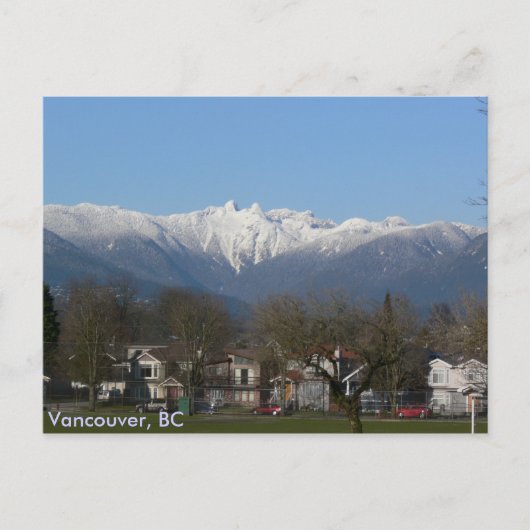 De leeuwen - Vancouver, BC Briefkaart (Voorkant)