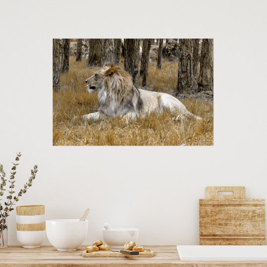 De leeuwenkoning poster (Keuken)