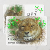 De leeuwin Kerstmis Feestdagenkaart (Voorkant / Achterkant)