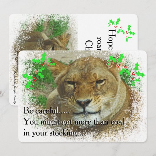 De leeuwin Kerstmis Feestdagenkaart (Voorkant / Achterkant)