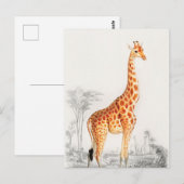 De legante Giraffe Briefkaart (Voorkant / Achterkant)