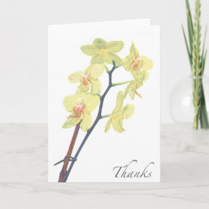 De lege Gouden Orchidee van de Schat dankt u Bedankkaart