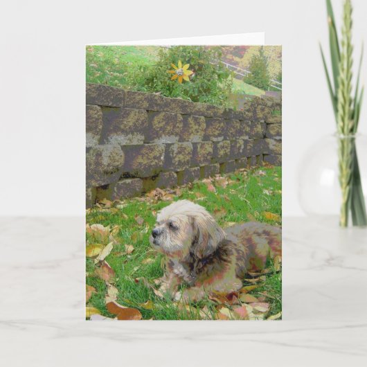 De lege kaart met bevordert (Voorkant)