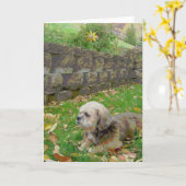 De lege kaart met bevordert (Gele Bloem)