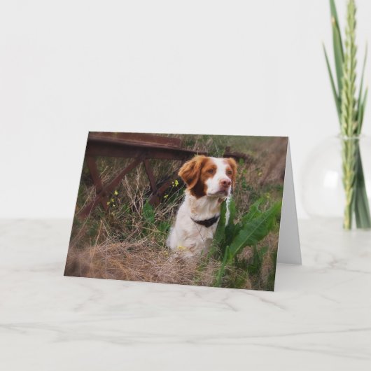 De Lege Kaart van Bretagne (Voorkant)