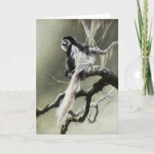 De Lege Kaart van Colobus door Andrew Denman