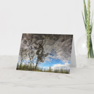 De Lege Kaart van de Bomen van de Rots van de kat