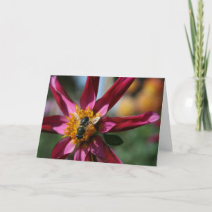 De Lege Kaart van de dahlia & van de Bij